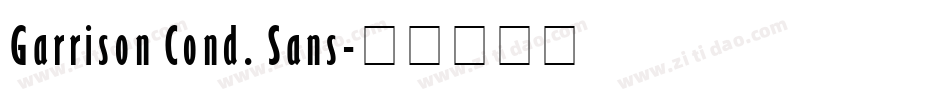 Garrison Cond. Sans字体转换